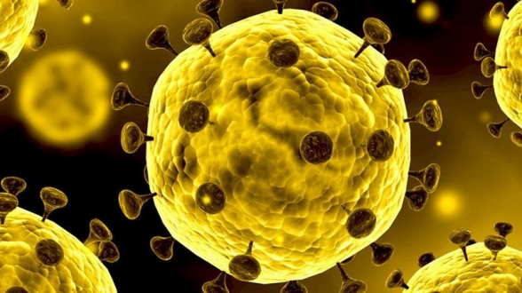 В Грузии за сутки выявили 2 новых случая заражения коронавирусом